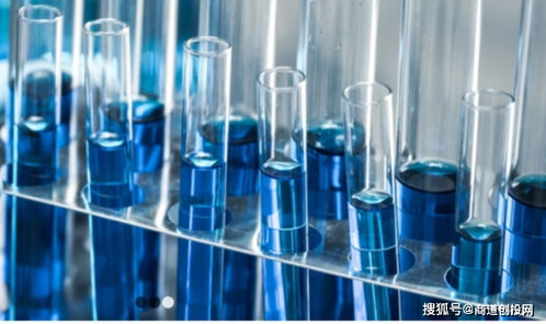 生物制品CDMO服務商鼎康生物完成超1.9億美元A輪融資，加速產業布局