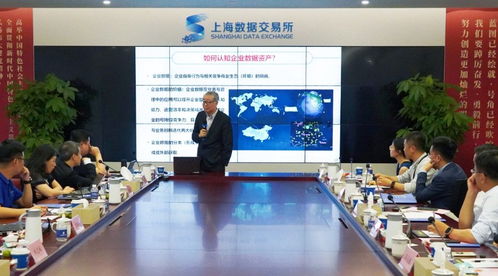 共探企業(yè)數(shù)據(jù)資產(chǎn)化戰(zhàn)略新方向 上海數(shù)交所數(shù)據(jù)咨詢服務(wù)商培訓(xùn)會解讀